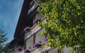 Landhotel Henkenhof Willingen